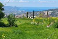 23000 SQM Plot in Meladia (Paphos) for sale 
