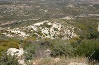 32108 SQM Land · Sotira Lemesou (Limassol) for sale 