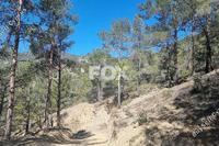 21690 SQM Land · Moniatis (Limassol) for sale 