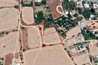 2639 SQM Land · Dali (Nicosia) for sale 