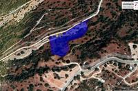 6355 SQM Land in Koili (Paphos) for sale 