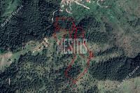 68614 SQM Plot in Pigenia (Nicosia) for sale 