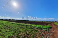 2676 SQM Land in Peristerona Lefkosias (Nicosia) for sale 