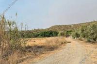 53513 SQM Land in Agios Theodoros Larnacas (Larnaca) for sale 