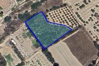 4002 SQM Plot in Potamos Germasogeias (Limassol) for sale 
