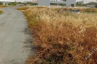  Industrial Park in Strovolos (Nicosia) for sale 