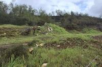 704 SQM Land in Mandria Lemesou (Limassol) for sale 