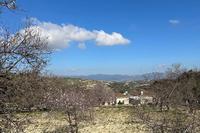 670 SQM Land in Tsada (Paphos) for sale 