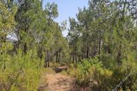 1747 SQM Land · Agios Epifanios Oreinis (Nicosia) for sale 