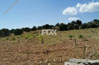 5352 SQM Land in Pachna (Limassol) for sale 