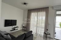 1 Bedroom Penthouse in Sotiros Agios Ioannis Larnaca (Larnaca) to rent 