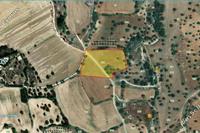 8696 SQM Land in Mazotos (Larnaca) for sale 
