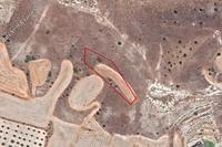 2007 SQM Land · Agia Varvara Nicosias (Nicosia) for sale 