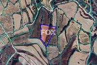 5352 SQM Land · Drynia (Paphos) for sale 
