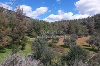 22624 SQM Land in Lythrodontas (Nicosia) for sale 