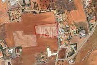 5242 SQM Plot · Agioi Trimithias (Nicosia) for sale 