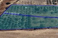 8318 SQM Land in Pyla (Larnaca) for sale 