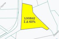1604 SQM Land in Dali (Nicosia) for sale 