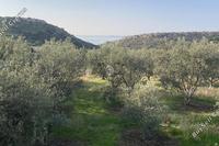 4900 SQM Land · Agios Tychonas (Limassol) for sale 