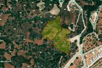 18061 SQM Plot in Tremithousa (Paphos) for sale 