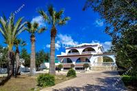 5 Bedroom Detached house in Saint George Peyia (Paphos) to rent 