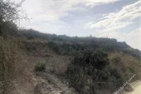 6689 SQM Land · Stroumbi (Paphos) for sale 