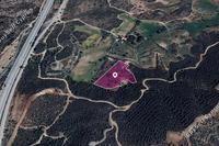 9031 SQM Land · Kofinou (Larnaca) for sale 
