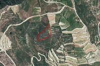 6021 SQM Plot in Koilani (Limassol) for sale 