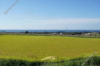 6355 SQM Land · Souni Zanakia (Limassol) for sale 