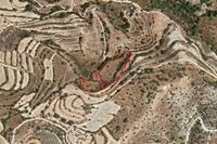 9031 SQM Land · Amargeti (Paphos) for sale 