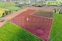 5070 SQM Land in Agioi Trimithias (Nicosia) for sale 