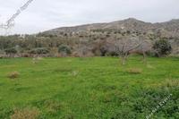 1673 SQM Land · Pomos (Paphos) for sale 