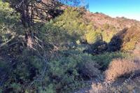 3679 SQM Land in Gourri (Nicosia) for sale 
