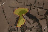 13044 SQM Land in Agios Theodoros Larnacas (Larnaca) for sale 