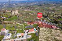 6161 SQM Land in Stroumbi (Paphos) for sale 