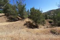 2676 SQM Land in Agios Theodoros Soleas (Nicosia) for sale 