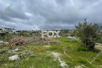 3460 SQM Land in Marathounta (Paphos) for sale 