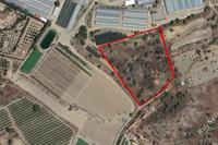 13795 SQM Land in Monagroulli (Limassol) for sale 