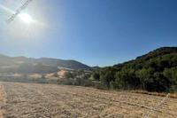 8027 SQM Land · Giolou (Paphos) for sale 
