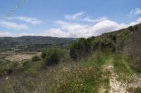 2676 SQM Land in Stroumbi (Paphos) for sale 