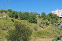 3178 SQM Land in Kapedes (Nicosia) for sale 