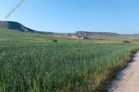 5092 SQM Land · Kato Moni (Nicosia) for sale 