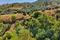 0 SQM Land · Agios Theodoros Soleas (Nicosia) for sale 