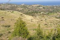 4513 SQM Land · Pigenia (Nicosia) for sale 