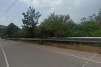 18397 SQM Land · Kelokedara (Paphos) for sale 