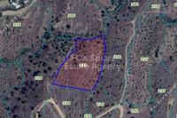 8027 SQM Land · Platanistasa (Nicosia) for sale 