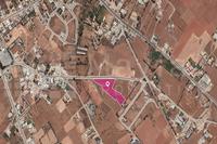 7453 SQM Land in Kokkinotrimithia (Nicosia) for sale 