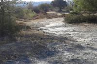 18331 SQM Land · Souni Zanakia (Limassol) for sale 