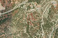 6689 SQM Land · Peyia (Paphos) for sale 