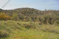 37262 SQM Land · Mathikoloni (Limassol) for sale 